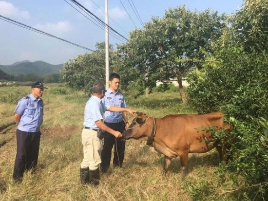 关于空军特色医学中心"找黄牛真的那么厉害吗"的信息