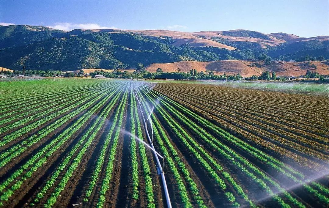 山东:2022年半数以上县市区基本实现农业现代化|农业现代化|农产品