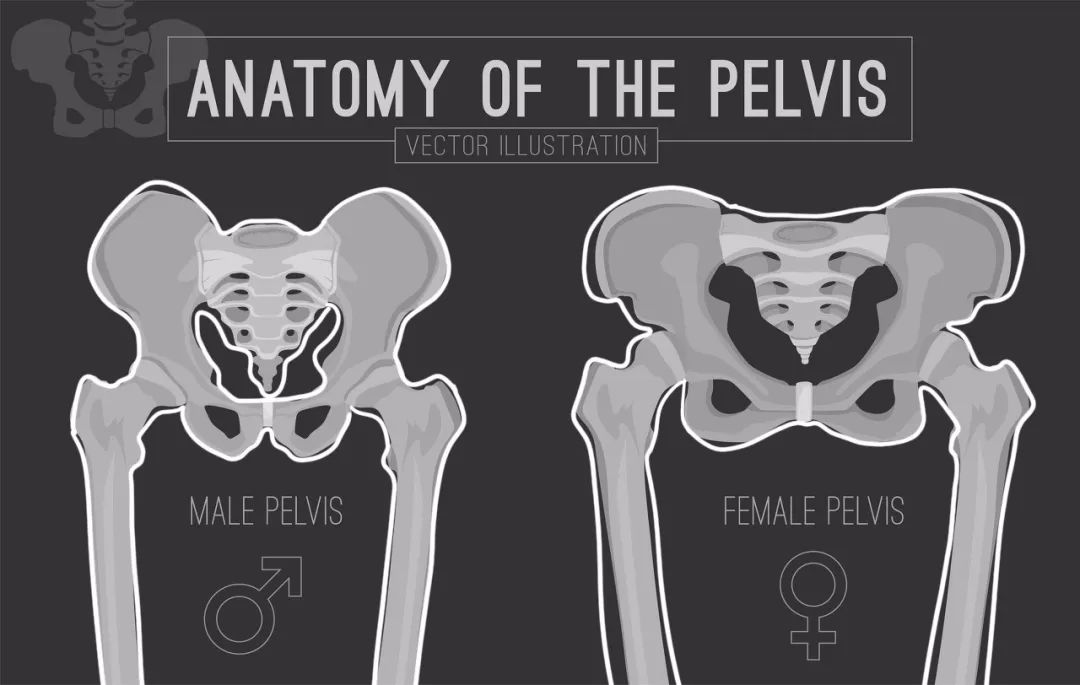 为什么男性都爱岔腿坐,他们是真的并不拢吗?