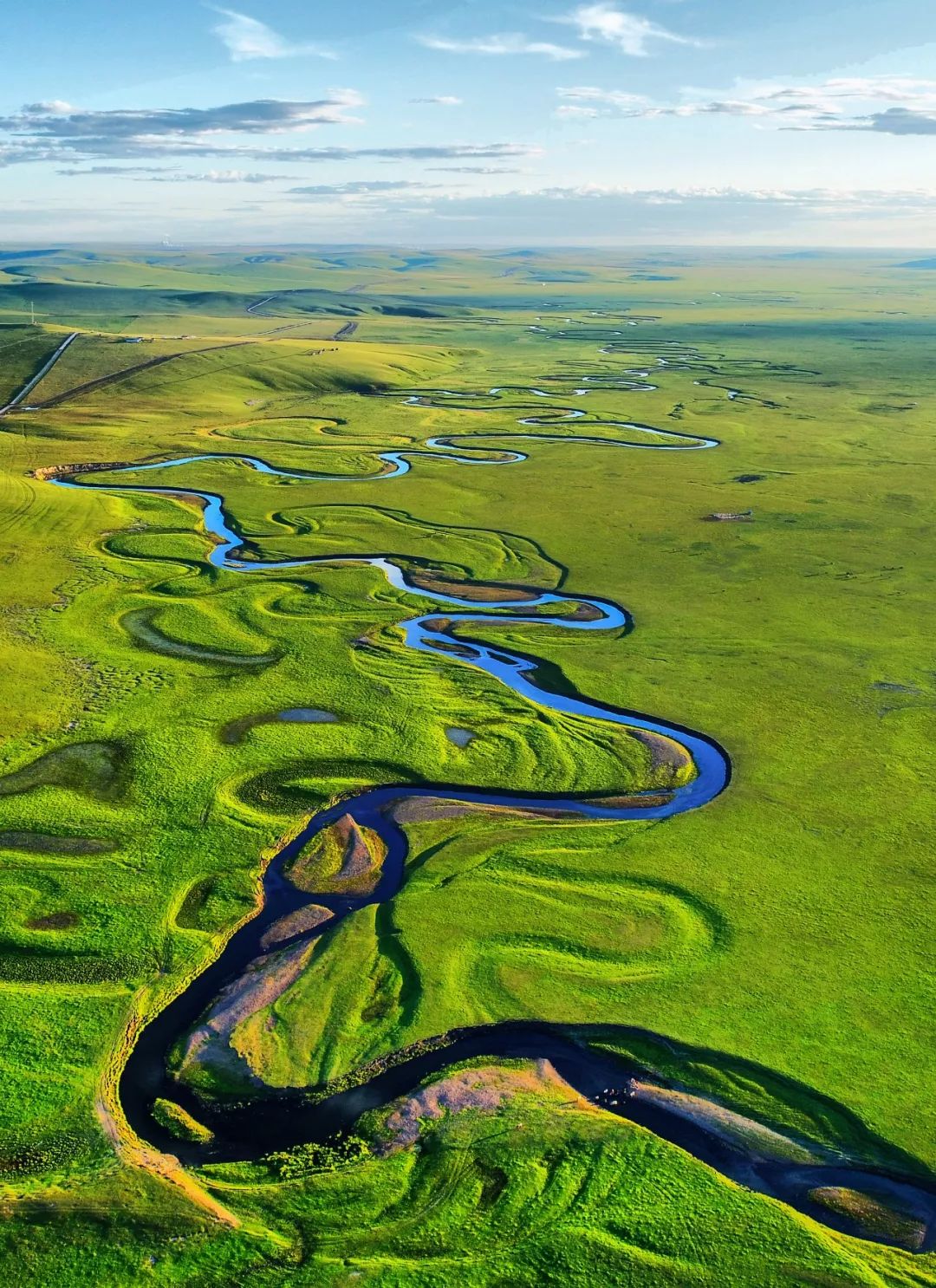 内蒙古呼伦贝尔莫日格勒河（莫日根河）绿色牧场风景，摄影师@刘兆明/星球研究所