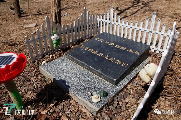 3年火化6000只宠物我们见证了宠物殡葬的全过程