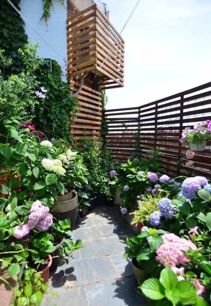 她和5岁女儿耗时2年,打造南京最美屋顶花园,惊艳园艺圈!