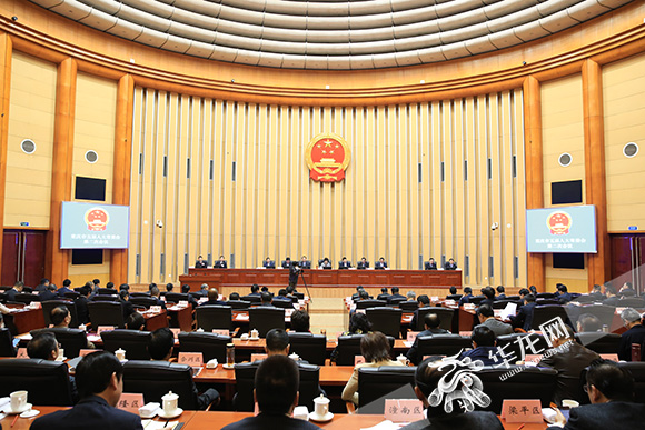 重庆市人大常委会任命一批干部 市政府组成部