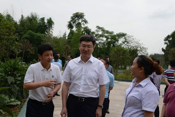 李成 通讯员 李扬 唐苠涵)5月31日,重庆潼南区区长王志杰在调研该区