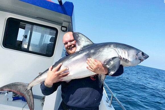 这5人一天钓到20头鲨鱼