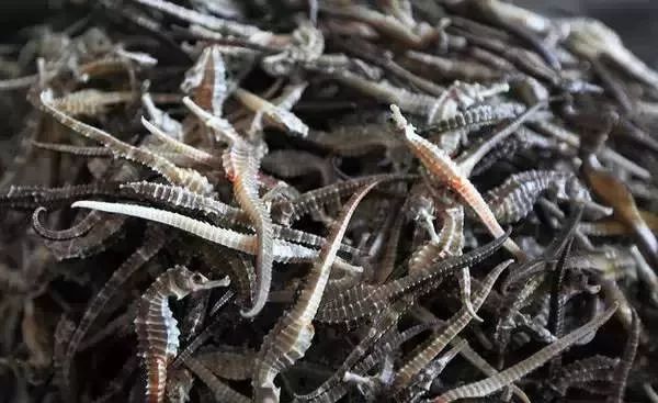 秒杀鼓浪屿,凭c位出道的小岛攻略看着都醉了|东山岛|风动石|虫_新浪