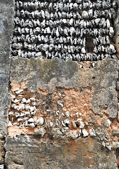 蚝壳为墙 冬暖夏凉