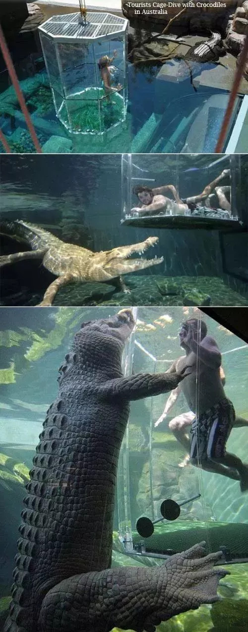 崎岖一点的, 给人第一眼的感觉是条蟒蛇