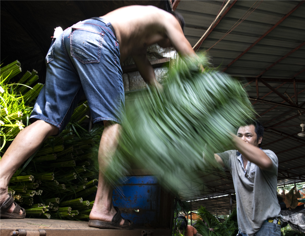 中国女摄影家看海口——沈玲作品选登