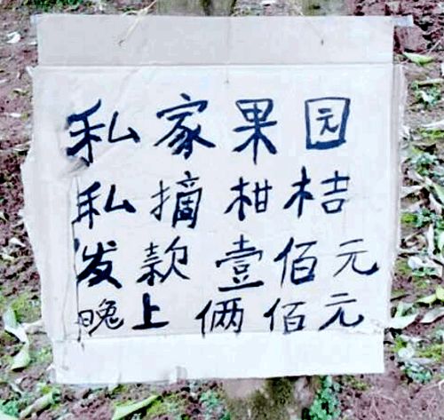 "高水平"标语,足够你乐上一天,笑惨我了