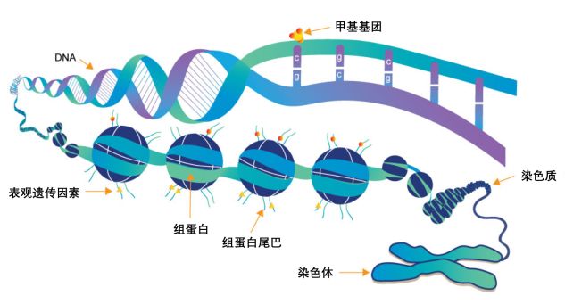 屠杀过后的创伤真实地遗传在一代代后人的身体里