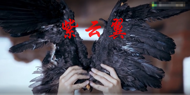 《斗破苍穹》:"焚诀"终于出来了!斗气化翼的紫云翼长这样?