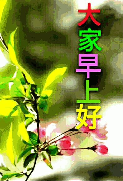 396_580竖版 竖屏gif 动态图 动图