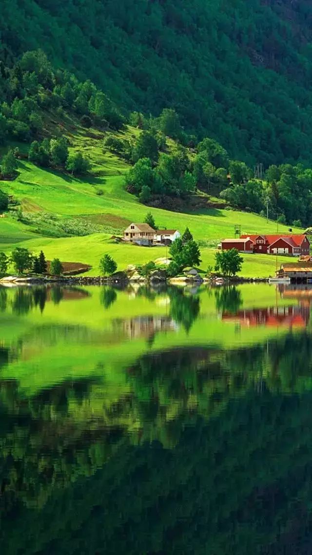 赏这七种色彩美翻了整个世界