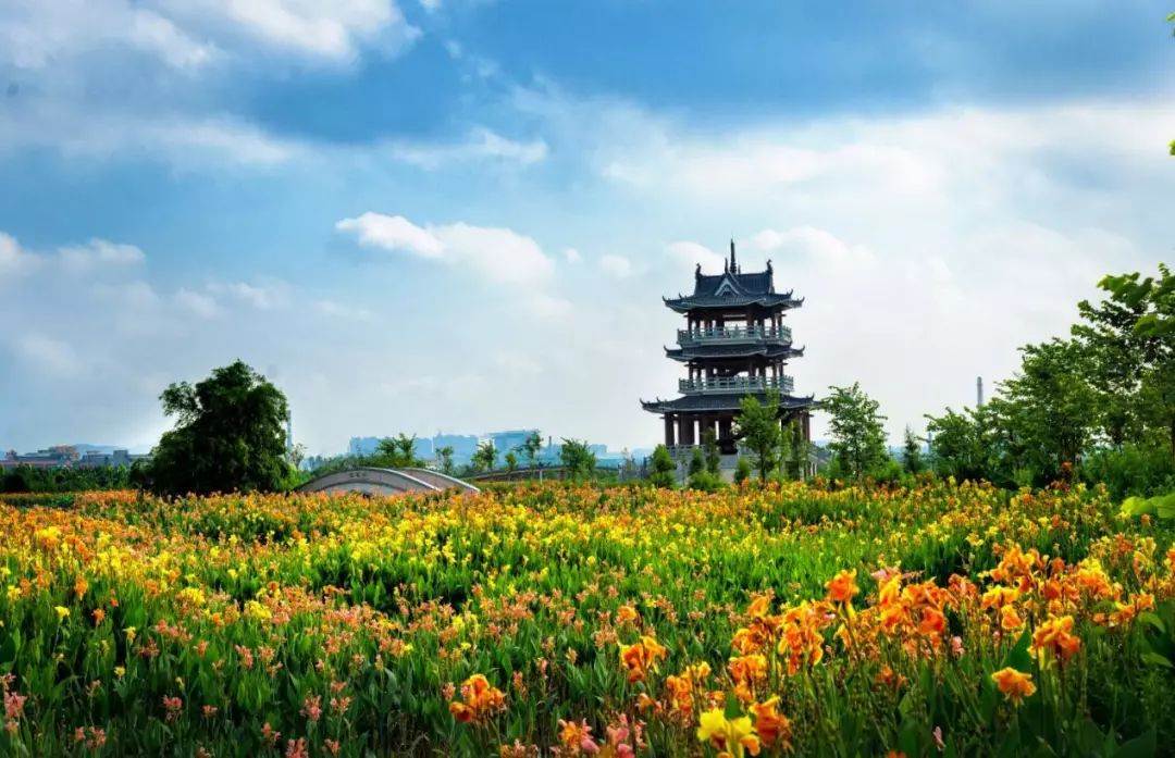 美哒哒水景星光绿意深藏东莞这个水乡小镇