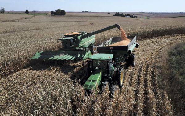 10月14日，在美国艾奥瓦州大西洋镇，联合收割机在当地农场里收割玉米。（新华社发）