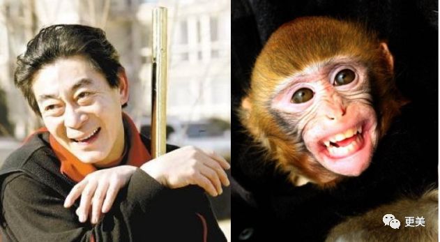 杨幂娜扎同属猴系长相这个脸型或成最新整容模板