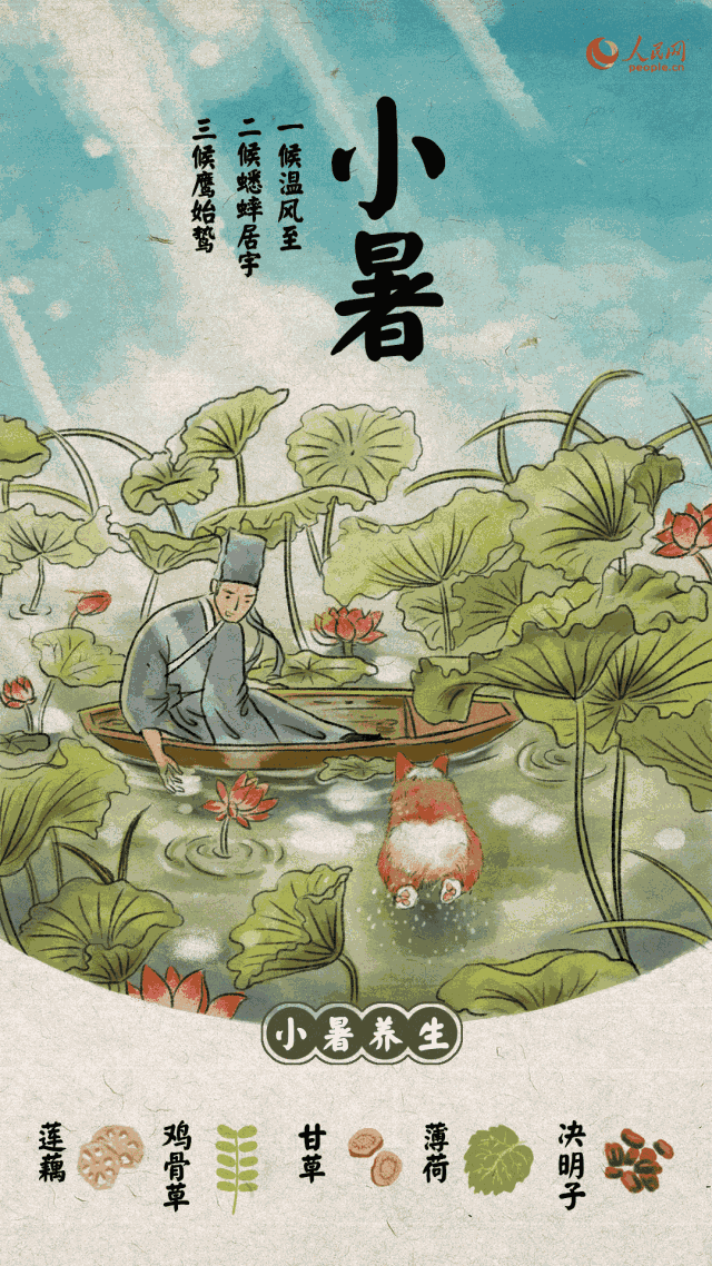 今日小暑!雨后高温天气,这三种病不可不防