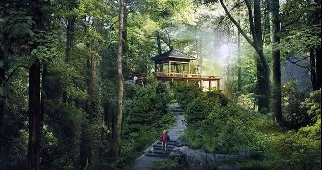 诸暨陶朱山公园将于今年建成,一大波美图来袭