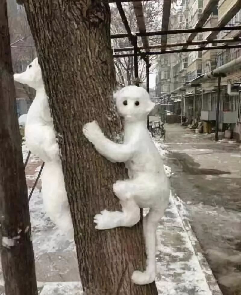 我怕猴子:来了老弟～@french-toast95突出了作者自暴自弃的人生态度