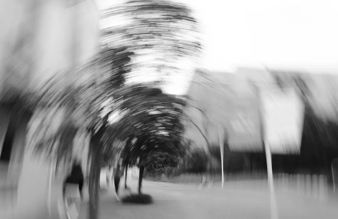 "似曾相识"的感觉从哪里来?|记忆|场景|楼道_新浪新闻