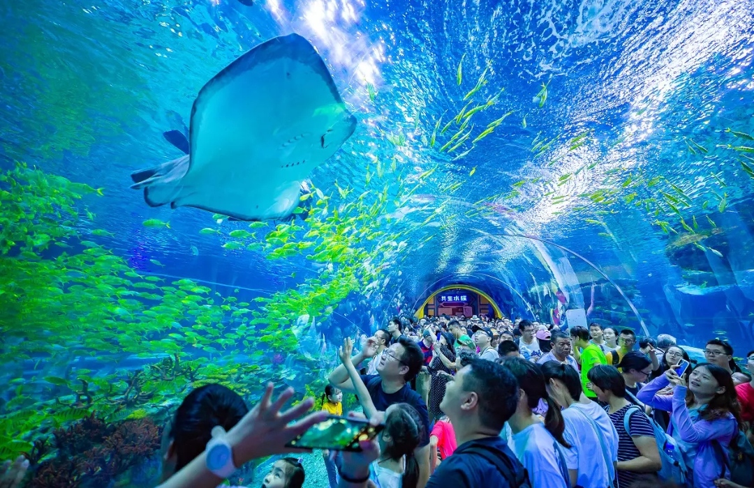 主题公园步入品牌之争时代,海昌如何打好"海洋文化"这张王牌?