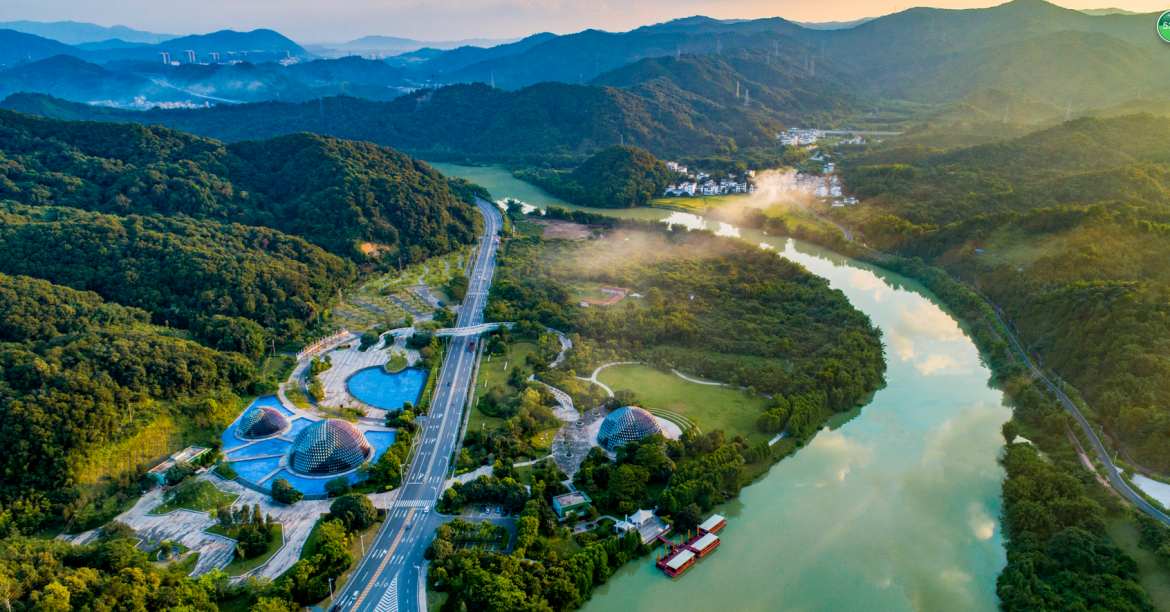 来广图探秘广州"醉美古道"