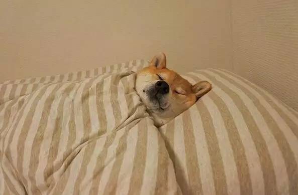 你真的会睡觉吗?