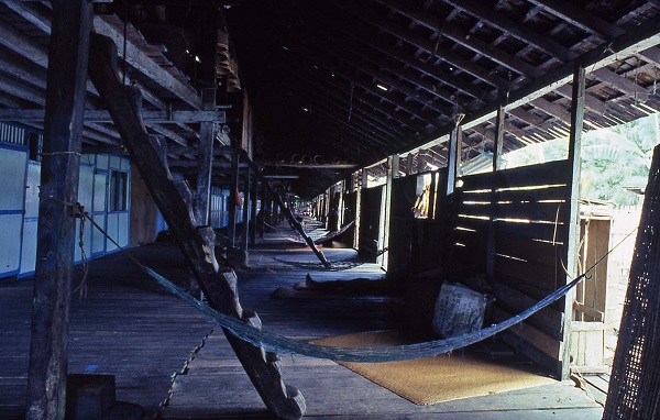 当地有一个非常有名的民族叫达雅族(dayak),因为他们居住在长屋里