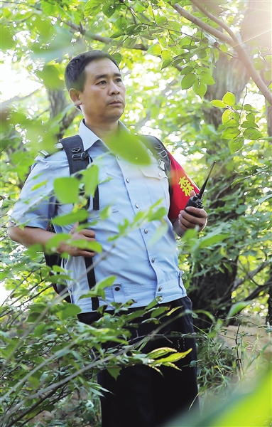 最美林业故事八仙山护林员聚仙峰顶的坚守