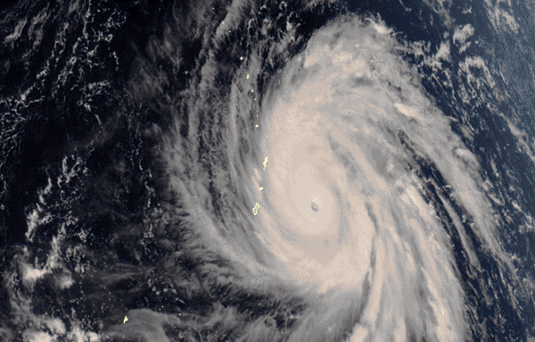 600_383gif 动态图 动图