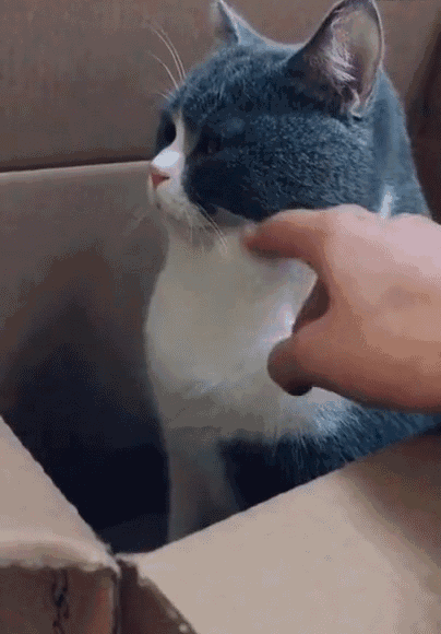 404_580竖版 竖屏gif 动态图 动图