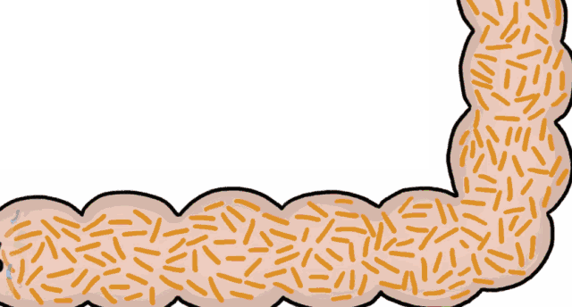 捐屎年入8万?捐屎能挣钱,还能救命!