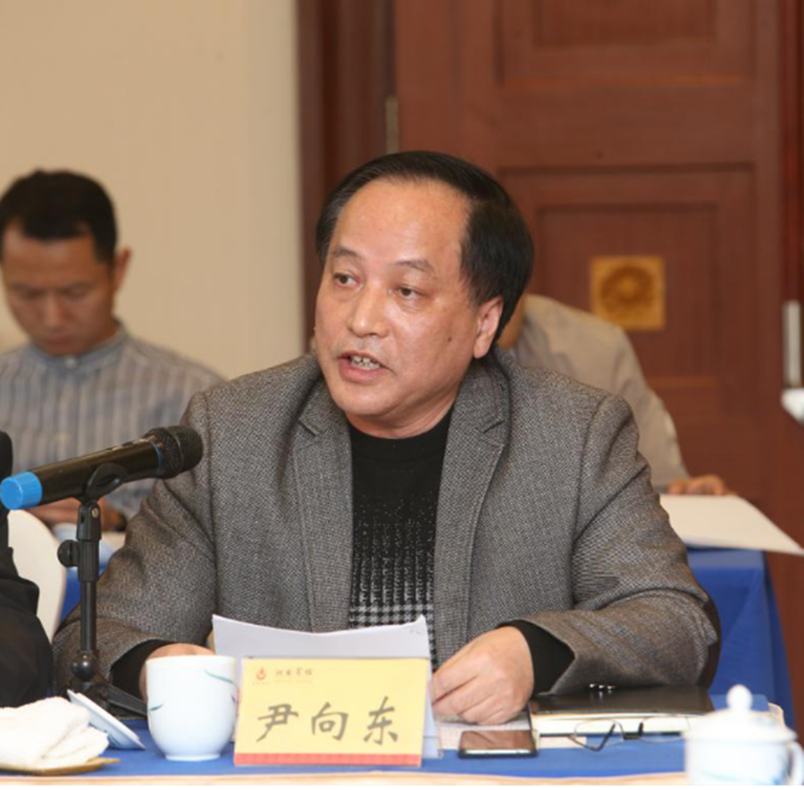 如何推动湖南高质量发展来听听专家企业家的金点子