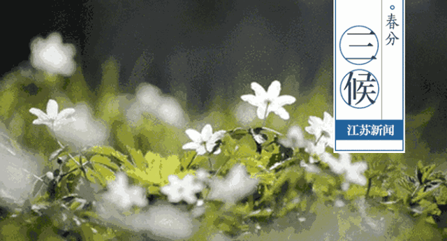 640_345gif 动态图 动图