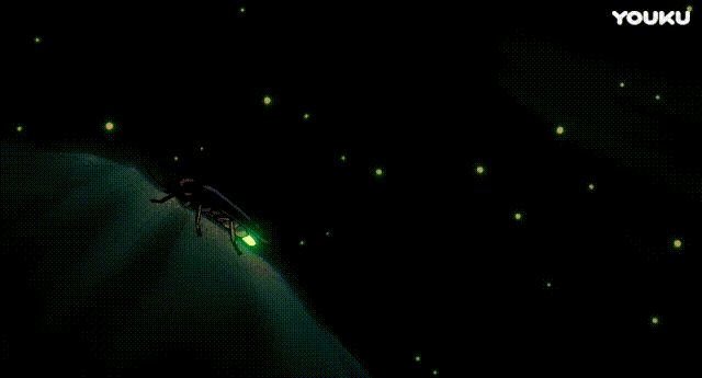 到福建这几个地方可以观赏萤火虫