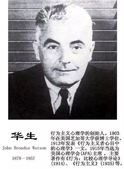 关于母爱你所知道的一切可能都是错的