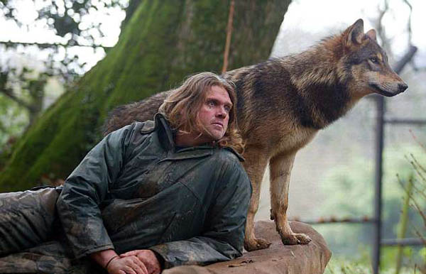 英狼人养狼遭邻居抱怨后搬家转养混血狼