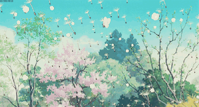 机场二通道沿线更美更亮了手机支付通行费嗖嗖地快