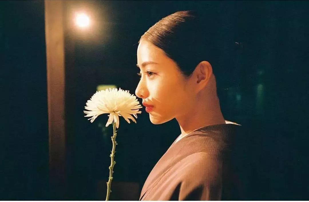 既爱之何恨之高岭之花不仅是美女与野兽的爱情故事