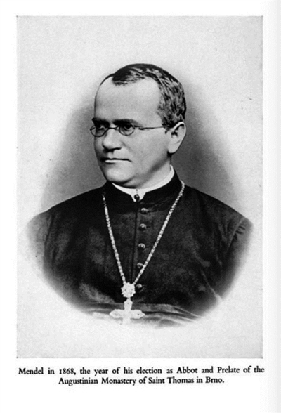 孟德尔:被尘封一生的宗师|孟德尔|修道院|布尔诺_新浪新闻