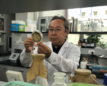 中国农业科学院植物保护研究所研究员张泽华:保护草原是我最大乐趣
