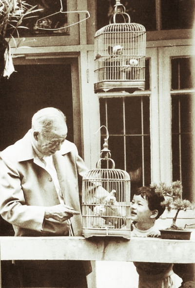 被绿色拥抱的陈从周