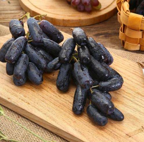 抢占致富先机 这水果看着像葡萄 却比普通葡萄贵20倍 一斤卖100元