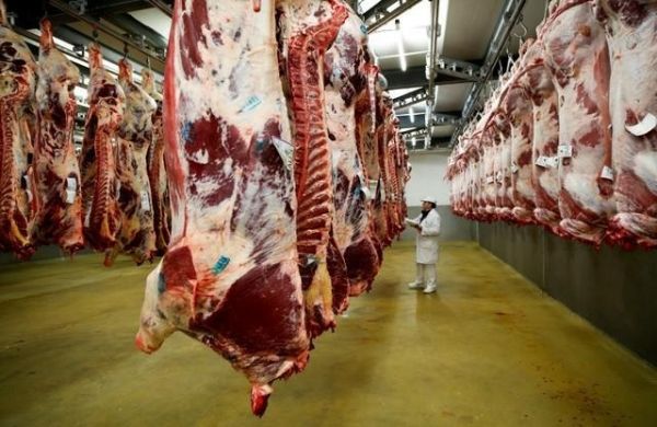 资料图片：法国里昂一家屠宰场的工作人员在冷藏库检查牛肉。（路透社）