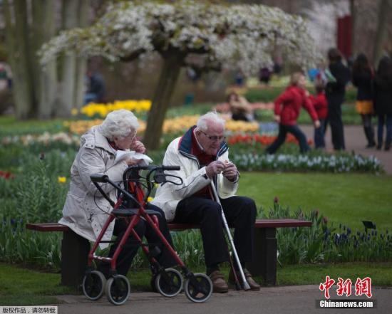 资料图：荷兰阿姆斯特丹，一对老夫妻看完花卉展在长椅上共进午餐。