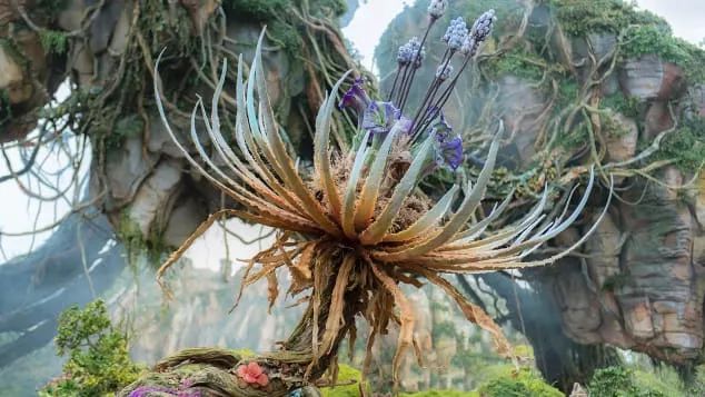 极客|阿凡达|主题乐园_新浪新闻