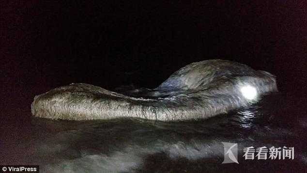 菲律宾海滩惊现长毛"海怪"尸体 居民:不祥预兆