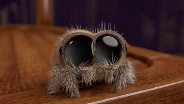 美国动画师创作玩具蜘蛛 30天内收益百万美元