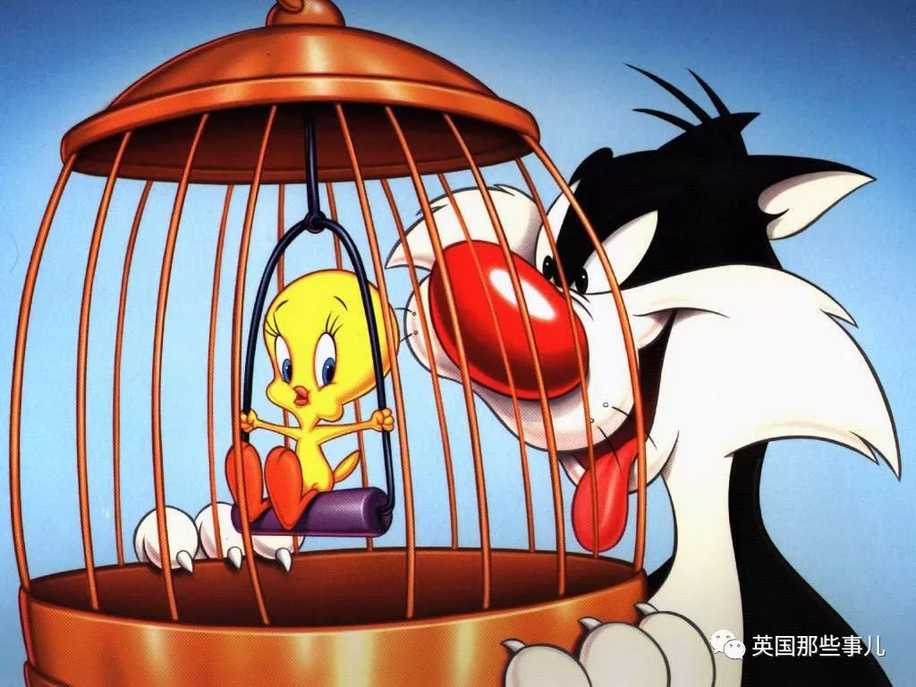 小鸟走了怎样超度-小鸟飞走了小鸟怎么飞走了让小鸟飞回来吧